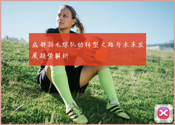 成都羽毛球队的转型之路与未来发展趋势解析
